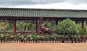 KUNMING - Parc Daguan - 18